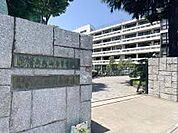 杉並区立西宮中学校まで1100m
