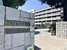 周辺：杉並区立西宮中学校まで1100m