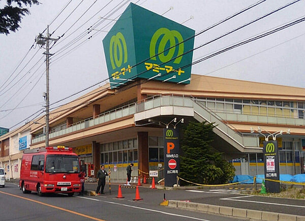 マミーマート岩槻店まで900m