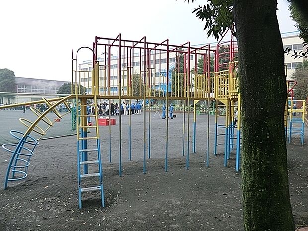 ヨークマート妙蓮寺店まで791m