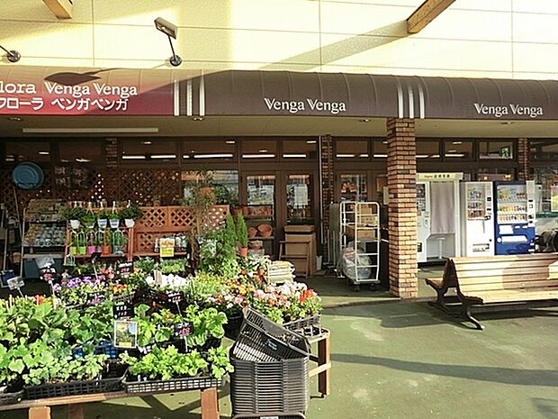 Venga Venga野川店まで487m