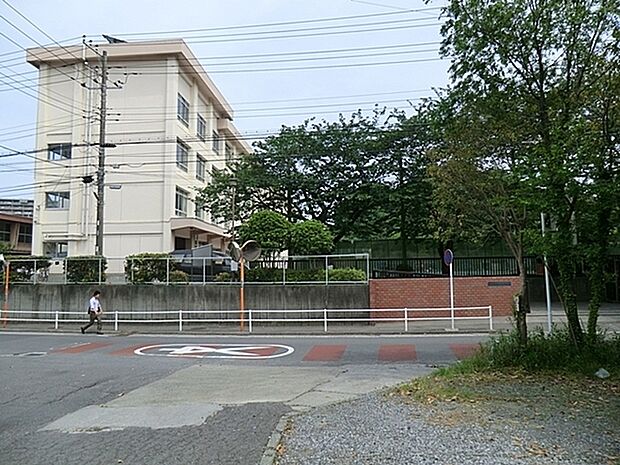 藤沢市立新林小学校まで1200m