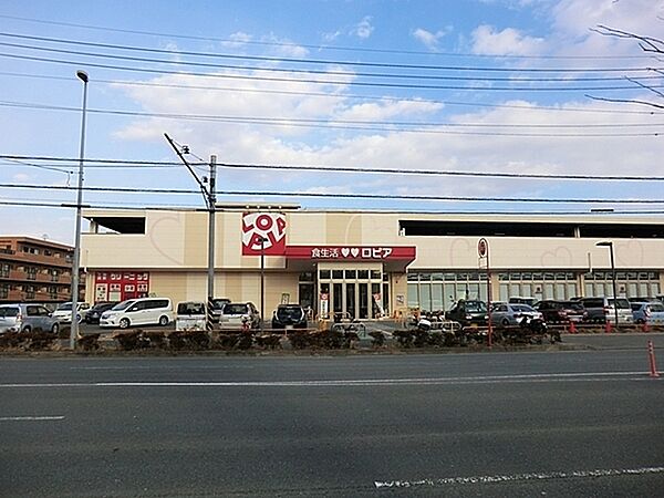 ロピア石川店まで901m