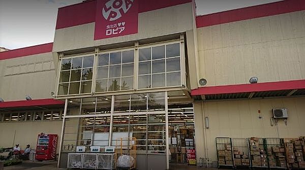ロピア綾瀬店まで1099m