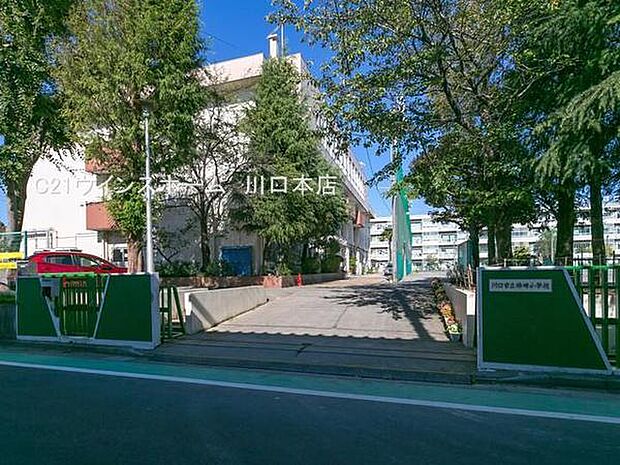 川口市立柳崎小学校まで300m