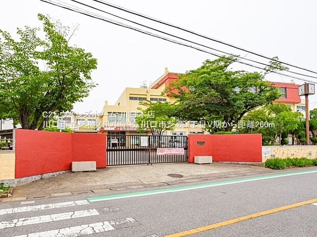 川口市立芝樋ノ爪小学校まで260m