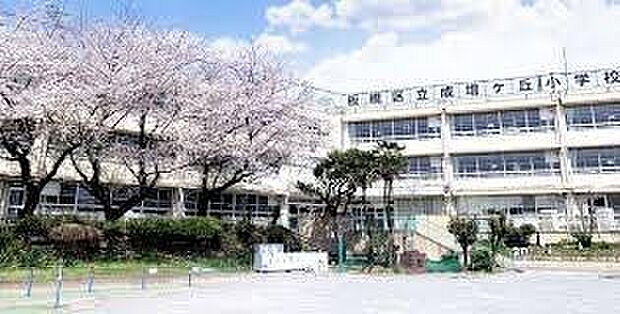 板橋区立成増ケ丘小学校まで500m