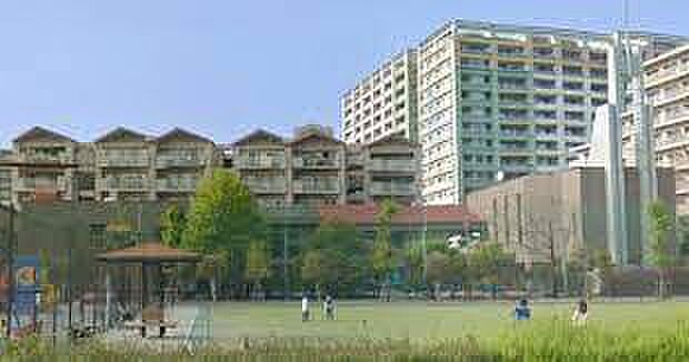 しんせい幼稚園まで300m