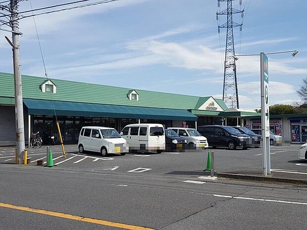 マルエツ安行慈林店まで730m