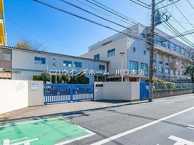 川口市立前川東小学校まで275m