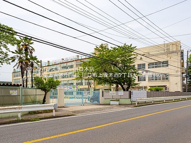 川口市立上青木小学校まで460m