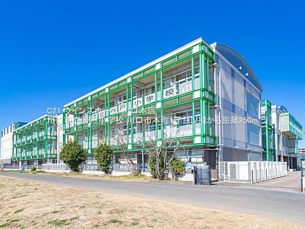 川口市立舟戸小学校まで250m