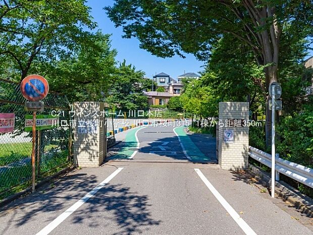 川口市立桜町小学校まで350m