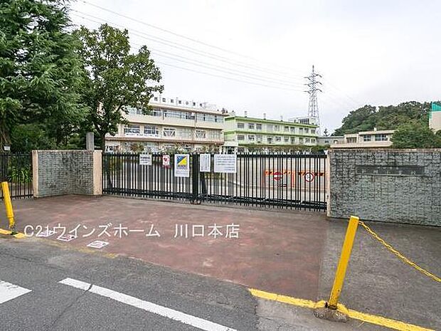 川口市立新郷南小学校まで1100m