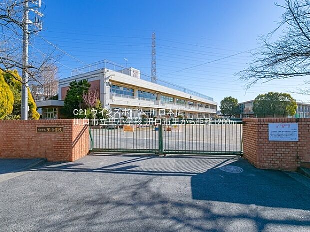 川口市立里小学校まで1200m