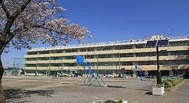 戸田市立美女木小学校まで170m