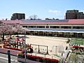 しば幼稚園まで...