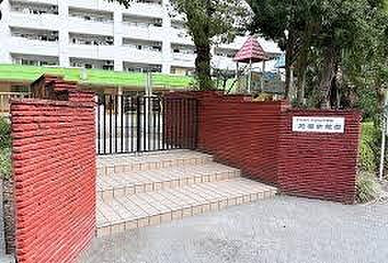 芝園幼稚園まで315m