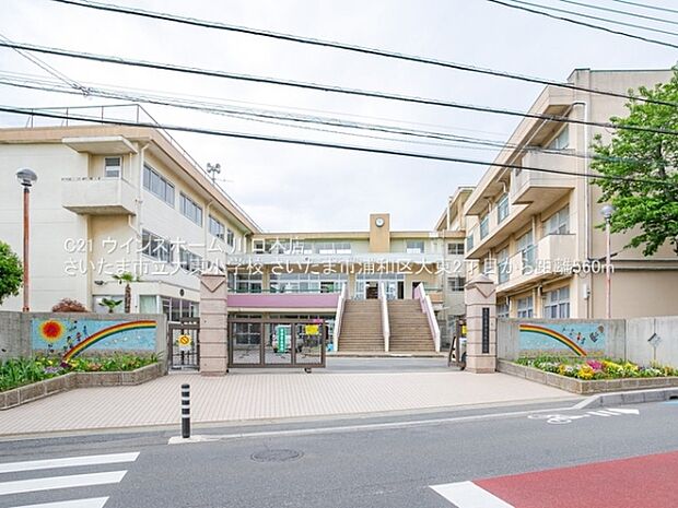 さいたま市立大東小学校まで560m