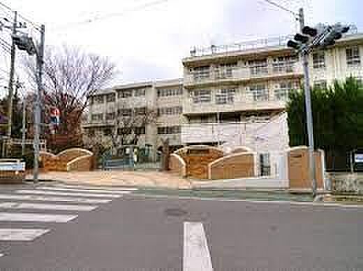 さいたま市立中島小学校まで500m