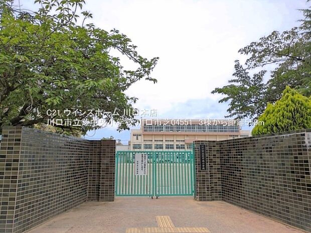 川口市立芝中央小学校まで550m