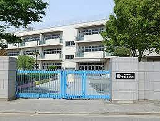 川口市立中居小学校まで900m