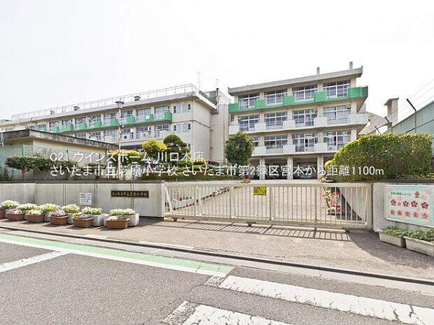 さいたま市立芝原小学校まで1100m