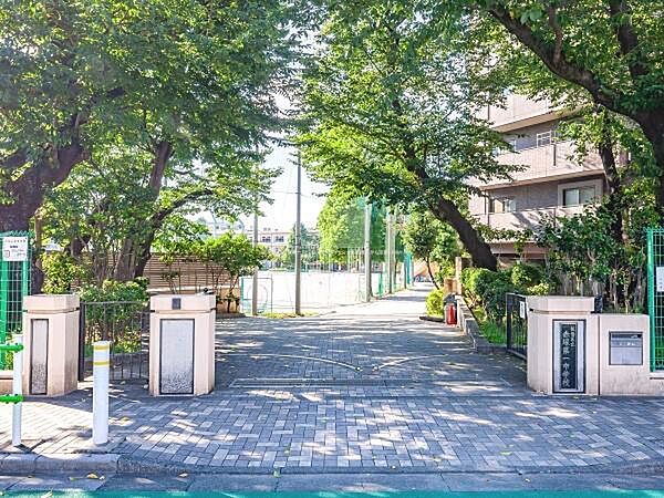 板橋区立赤塚第一中学校まで1400m