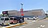 周辺：ディスカウントドラッグコスモス城ケ崎店まで1655m