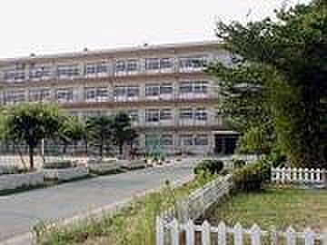 八尾市立高美小学校まで664m