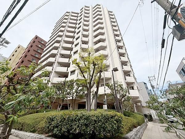 外観：327002234942