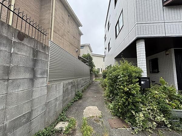 現地写真
