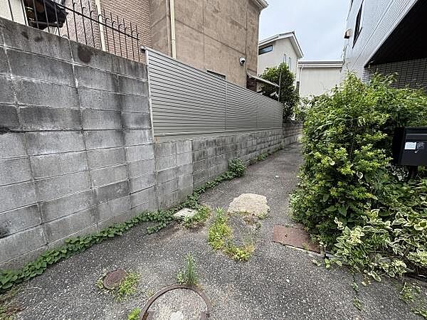 現地写真