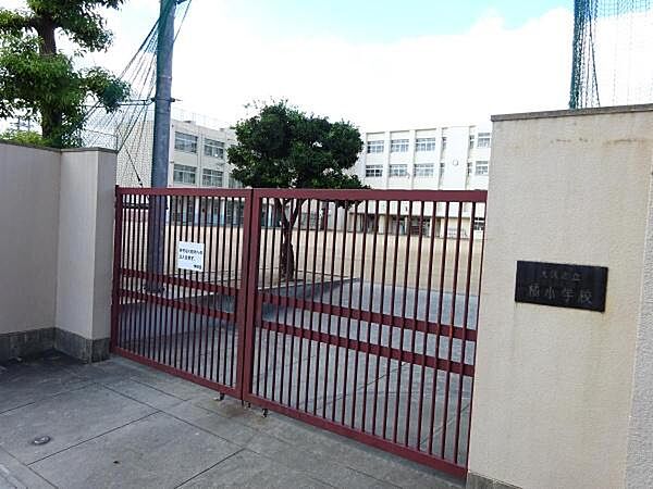大阪市立橘小学校まで250m