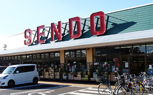 SENDO島野店まで1104m