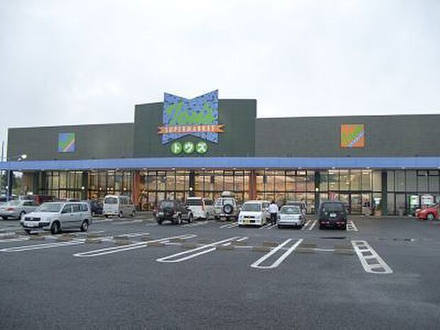 トウズ八街店まで2590m