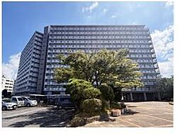 千葉ガーデンタウンB棟　8階