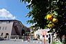 周辺：サフラン幼稚園まで560m