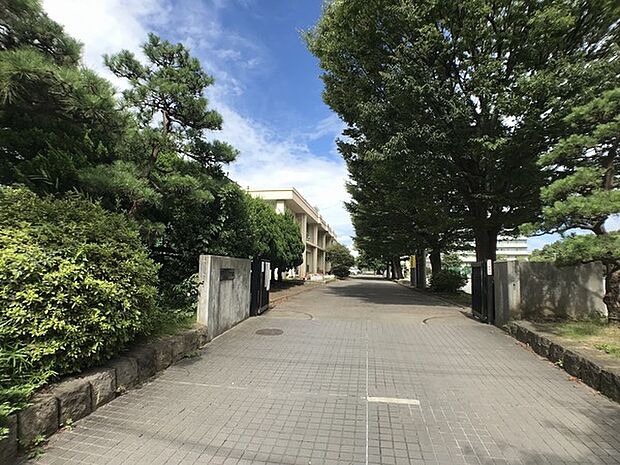 平塚市立江陽中学校まで865m