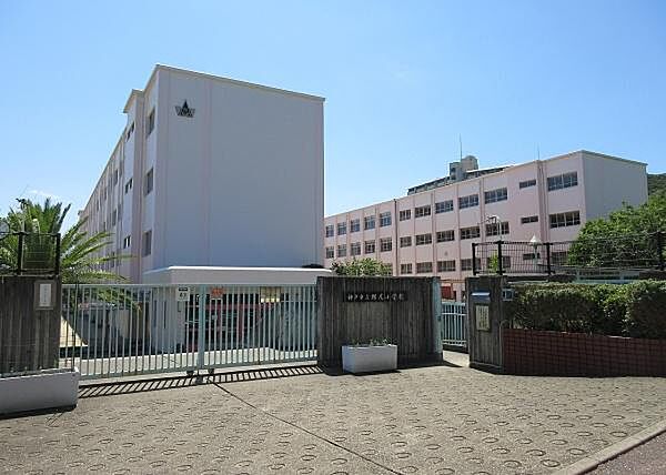 横尾小学校まで600m
