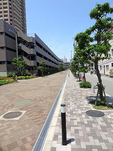 緑が多く、整備された歩道です！