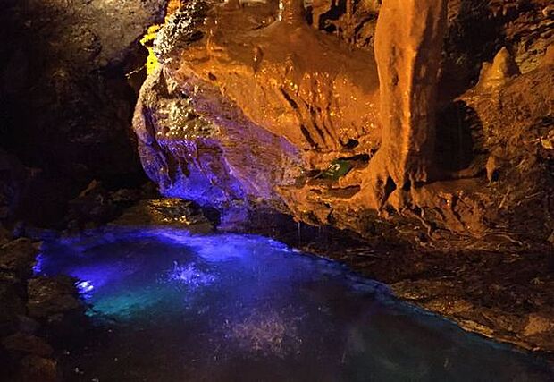 竜ヶ岩洞まで5530m、標高351ｍの竜ケ岩山の山中にある竜ケ岩洞は、2億5千万年前の石灰岩地帯に形成された東海地方最大の鍾乳洞。
