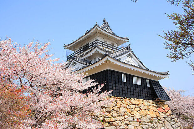 浜松城公園まで1610m、徳川三百年の歴史を刻む出世城を見学できる浜松城公園。桜や紅葉など、四季折々の姿を楽しめる人気観光スポット。