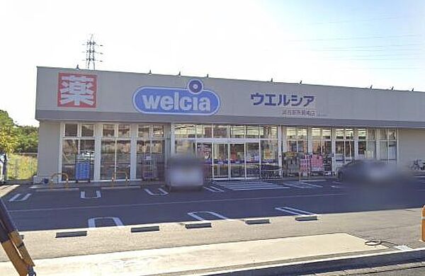 ウエルシア湖西新所岡崎店まで2446m