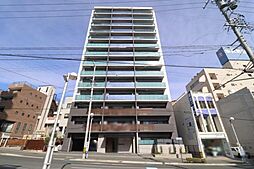 ペット飼育可　ル・シェモア元城町　築浅　中古マンション