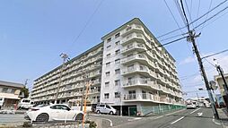 リーズナブルなのに　この広さ　この利便性　住吉カトレア208