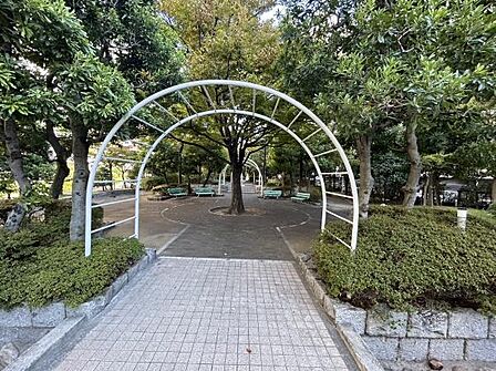 現地写真です！