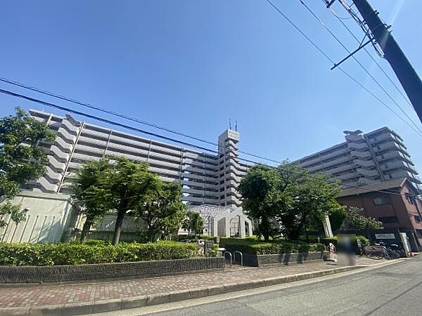 外観：327002263102