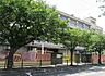 周辺：大阪市立鶴町小学校まで560m