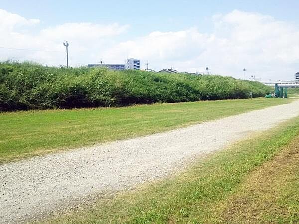 藻川河川敷緑地まで1353m